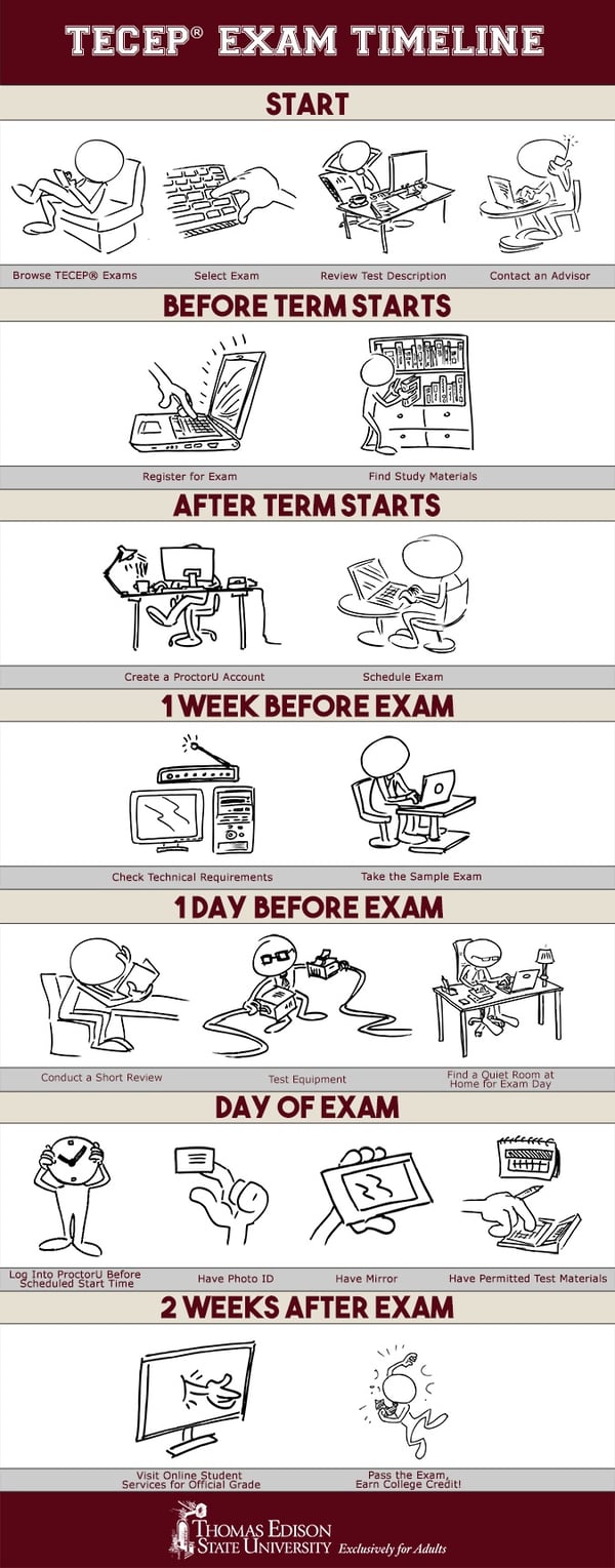 TECEP Timeline Infographic